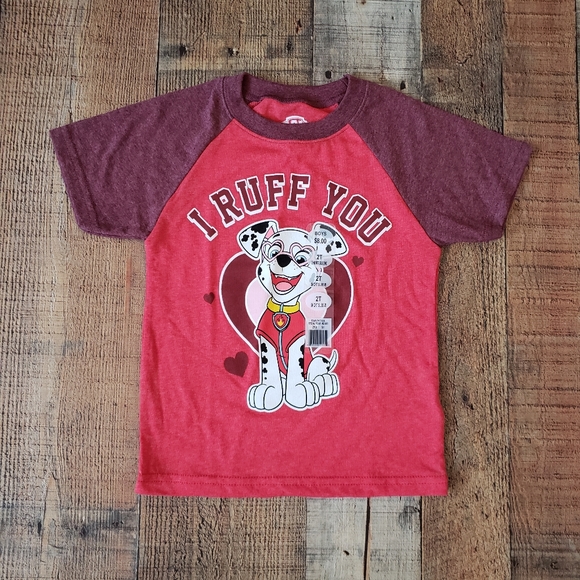 Nickelodeon | Paw Patrol Raglan Shirt | 2T